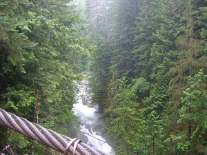 The view north from the Lynn Canyon Suspension Bridge