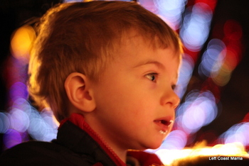 Quinlan at Bright Nights in Stanley Park, December 2010
